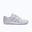 Lunar Rock / Alloy